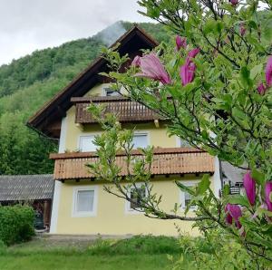 Apartment House Andrej 