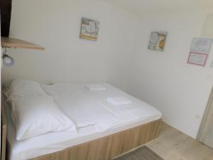Evi Rooms Ljubljana 