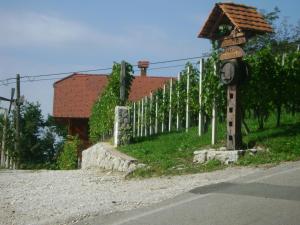 Vineyard cottage Zidanca med vinogradi 