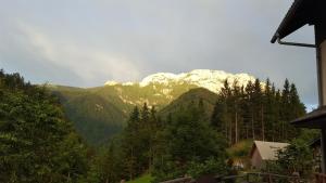 Farm stay Majdač 
