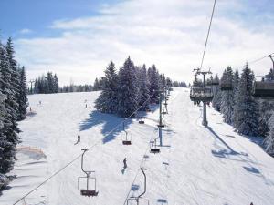 Apartmaji Zlata Lisička 