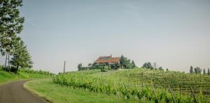 Taverna & Wine Jeruzalem