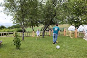 Holiday Home Virida, app Leopold III 