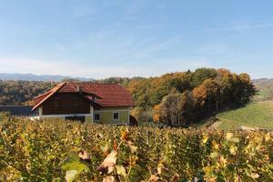 Vdovič Guest House 