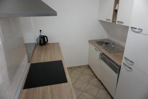 ALPIN apartma 