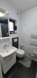 Apartment Alpska Astra 