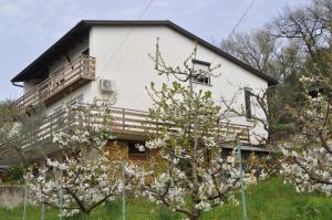 Apartma BAJČI 