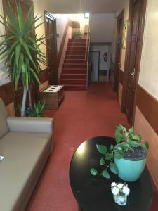 Guesthouse Risnik 