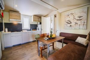 Lake View Mobile Homes with Thermal Riviera Tickets in Terme Čatež 