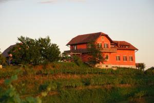 Hisa Vina 