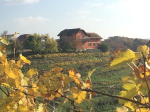 Hisa Vina 