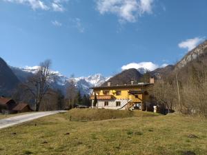 House Berdnik 