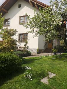 Apartmaji Volf 