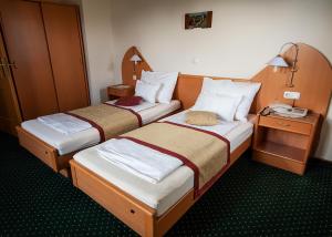 Guesthouse Tulipan 