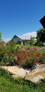 Hillside Bio Resort Delux Apartments 