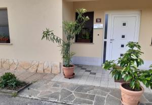 Apartma Kolpa 