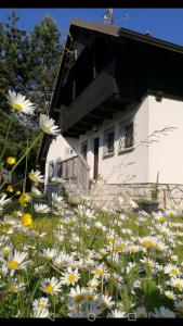 River house HRIB 