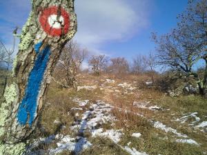 Istrian Experience 