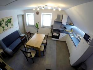 The Jungle Apartments and Rooms (Vila Džungla) 