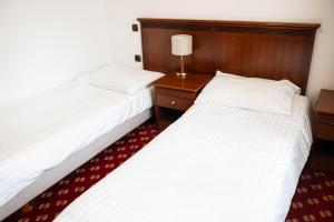 Hotel Zvezda 