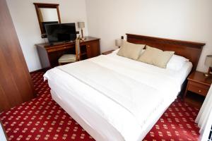 Hotel Zvezda 