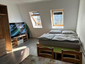 Apartment Aly