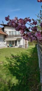 Apartmaji Mojca 