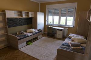 Trendy apartmant in city 