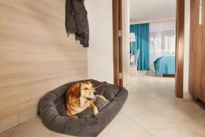 Villas - Hotel & Resort Adria Ankaran 