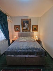 Hotel Razgorsek 