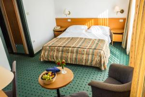 Hotel Vile Park 