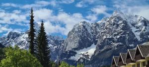 Villa Mojca - Jasna&Jelka Apartments, Central Location with Private Garage and Alpine View 