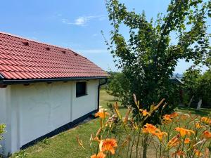 Glamping NA BREJGI 