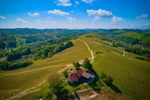 Holiday House Podhamer with Wellness 