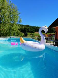 Apartment Tina with Seasonal Pool