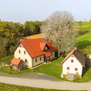 Tourist Farm Rajšp 
