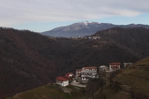 Apartmaji Nena 