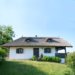 Vinum Vidae 