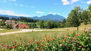 Holiday home Rozika 