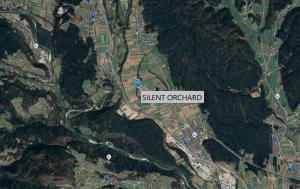 Silent Orchard 