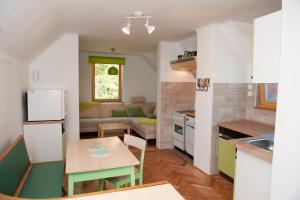 Apartment Polane 