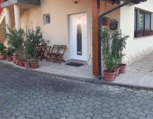 Apartma Lahinja 