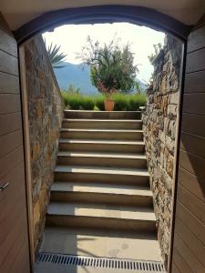 Wine cellar room 