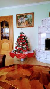 APARTMA AJDA 