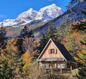 Cozy Private Cabin in the heart of Triglav National Park