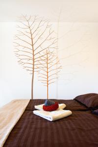 Zenja Apartments - Property with Cozy Garden & Free Private Parking 