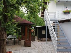 APARTMA CARNICA 
