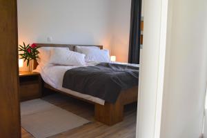 Apartma med oljkami - Portorož 
