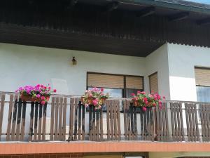 Apartments Novak 