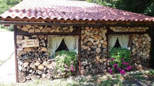 Appartment Bezenica 